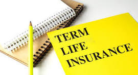 Term Life Insurance Guide